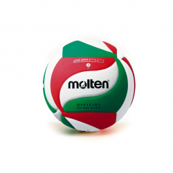 PELOTA DE VOLLEY EVA 2200